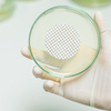 PTFE membrane for air filtration
