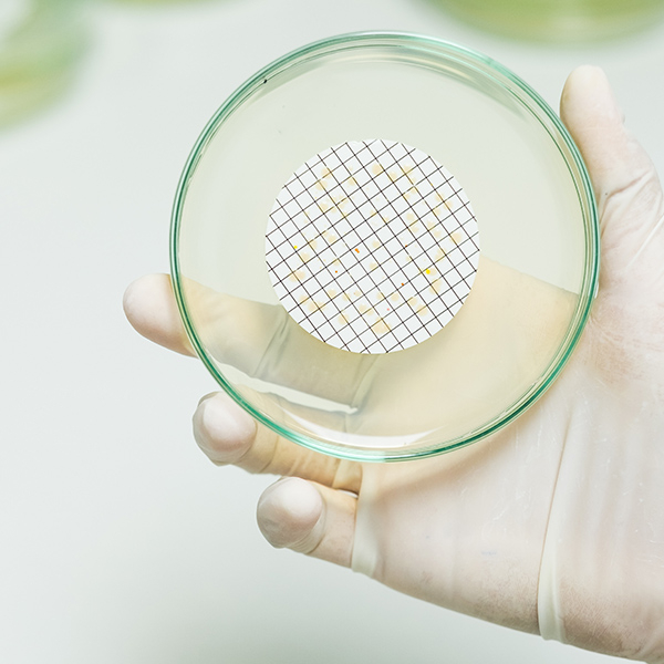 PTFE membrane for air filtration